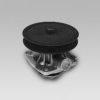 FIAT 0000007752928 Water Pump